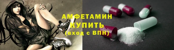 меф Пересвет