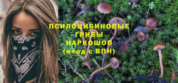 тгк Балабаново