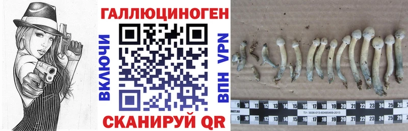 Псилоцибиновые грибы GOLDEN TEACHER  мориарти телеграм  Новоуральск 